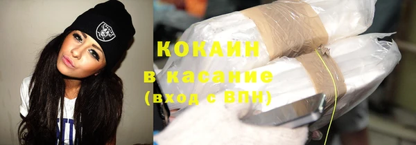 крисы Алексин