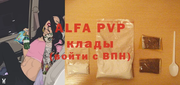крисы Алексин