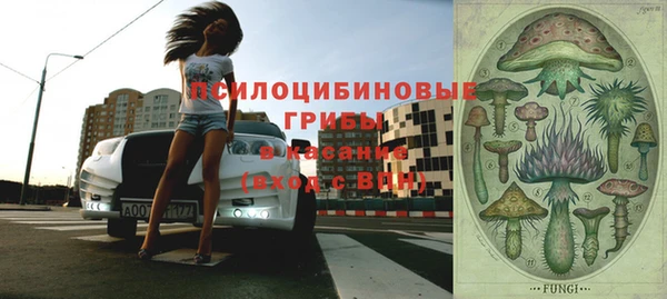 ПСИЛОЦИБИНОВЫЕ ГРИБЫ Алзамай