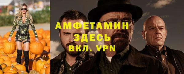 крисы Алексин