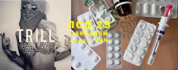 ПСИЛОЦИБИНОВЫЕ ГРИБЫ Алзамай